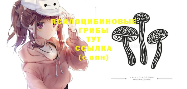 мет Армянск