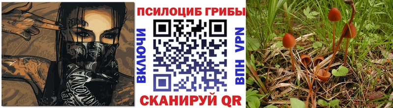 Псилоцибиновые грибы мухоморы  Лыткарино 