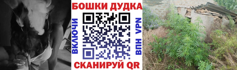 МАРИХУАНА план  сколько стоит  MEGA вход  Лыткарино 